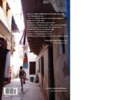 India beyond the colors - Afbeelding 8