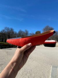 Ananas Bicolore - Afbeelding 3