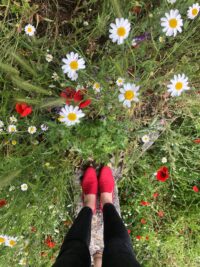 Crocodile Rouge - Afbeelding 4