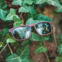 Palau – Wooden Sunglasses - Afbeelding 7
