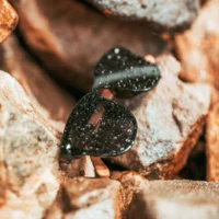 Mira – Unisex Wood and Bio Acetate Sunglasses - Afbeelding 8