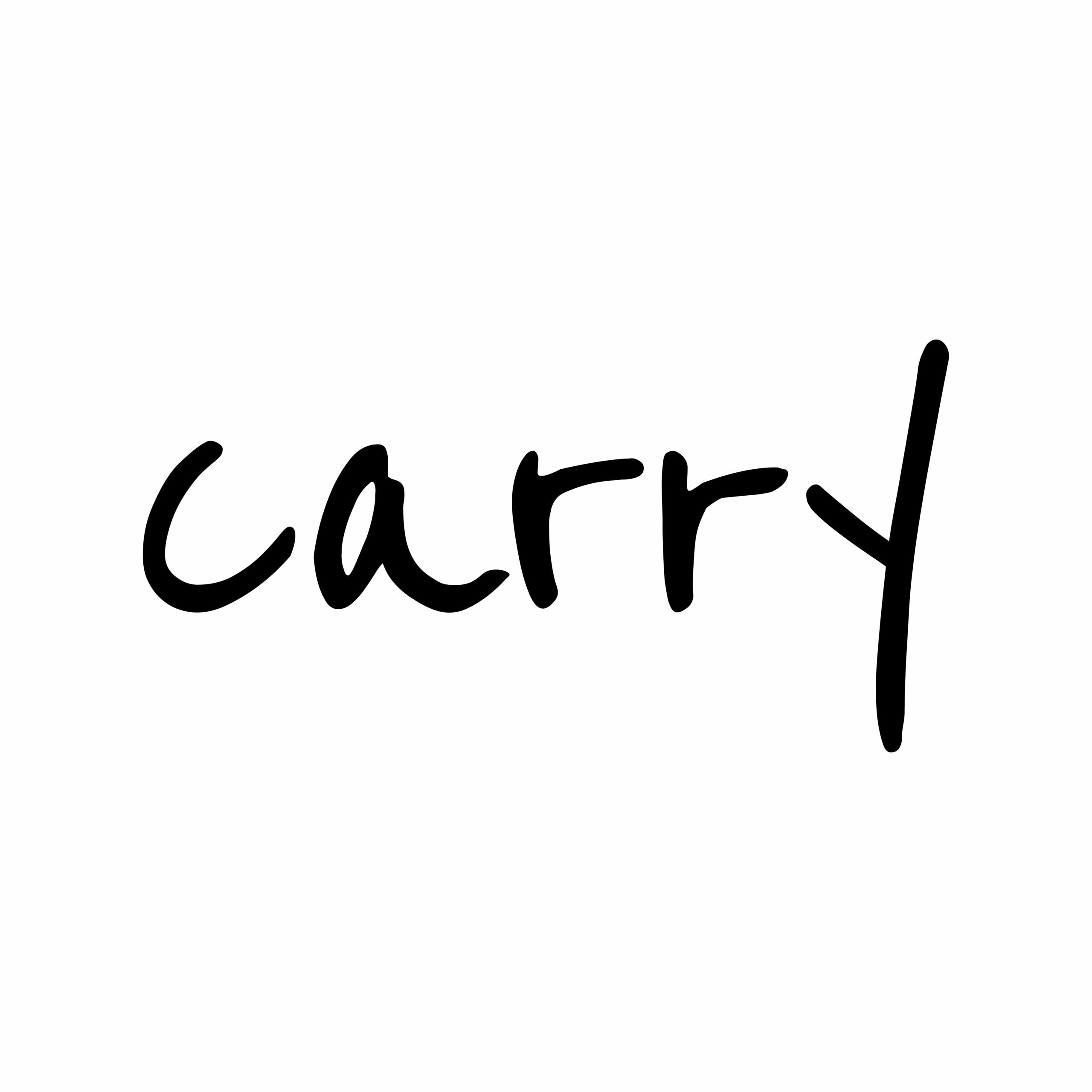 Carry Products GmbH