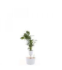 Witte Vertical Planter - Afbeelding 14