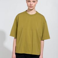 Aiyo Oversize Organic T-shirt in Green