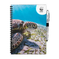 Erasable Notebook Turtle