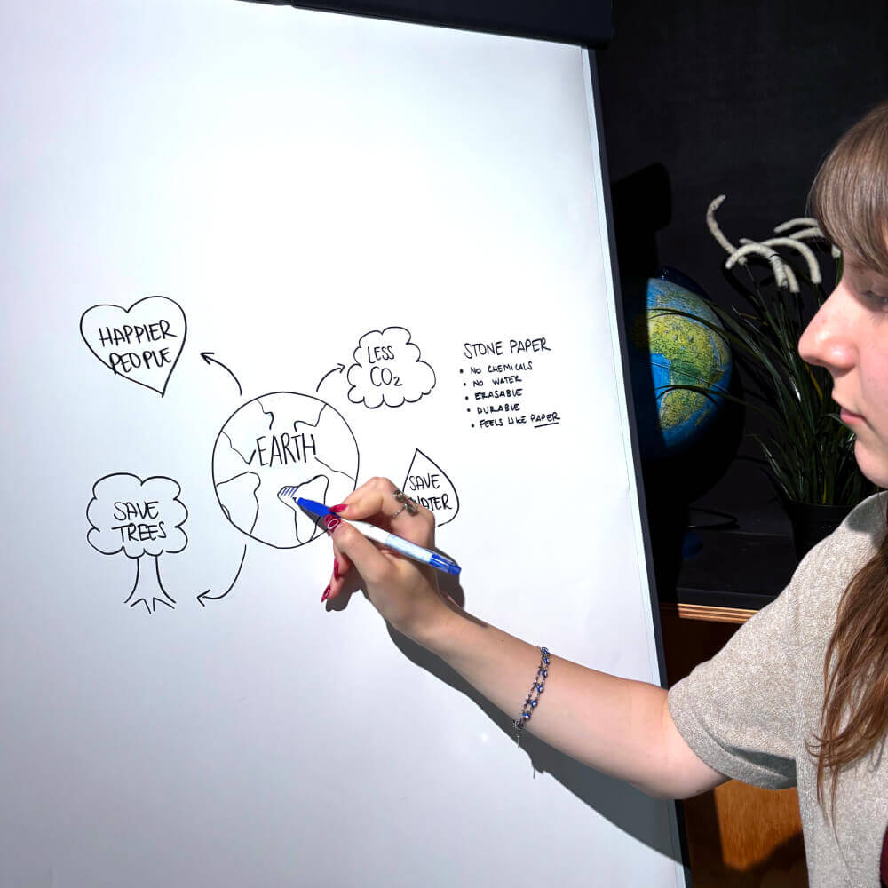 drawing-on-erasable-flipchart-sheet