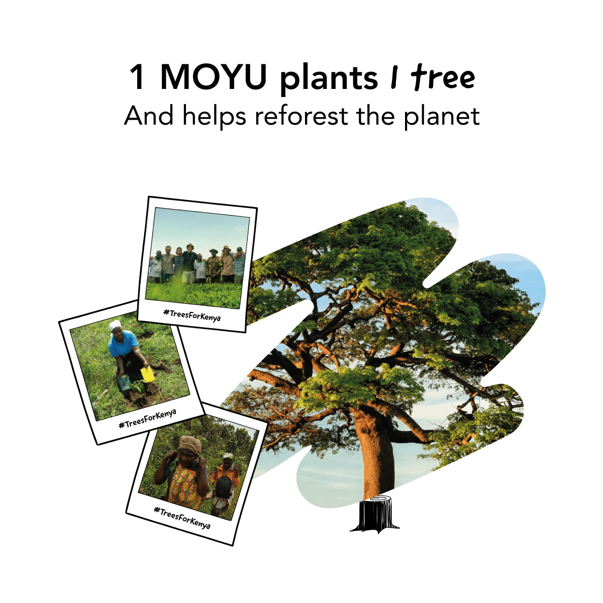 notebook-usp-1-MOYU-plants-1-tree