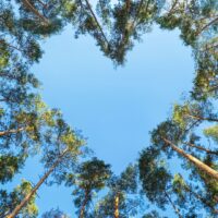 NAE Vegan Shoes Gift Card