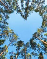 NAE Vegan Shoes Gift Card